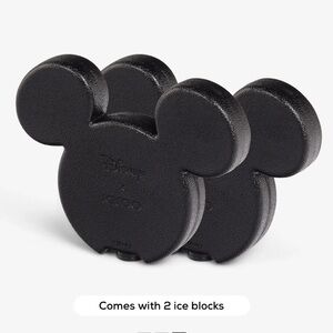⚡️🚚 MOVING SALE! 🧊 Igloo Disney Mickey Mouse Ice Block 2-Pack
